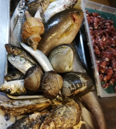 本日入荷のお魚達