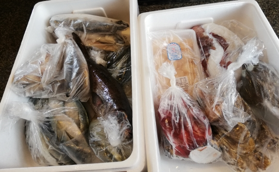 本日入荷のお魚達