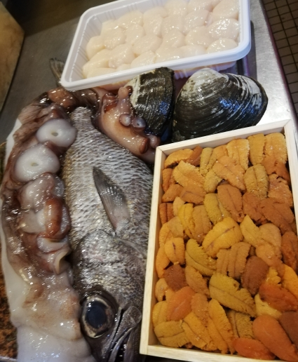 本日入荷のお魚達