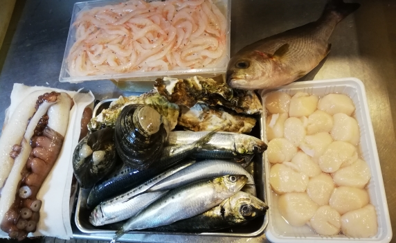 本日入荷のお魚達