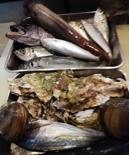 本日入荷のお魚達