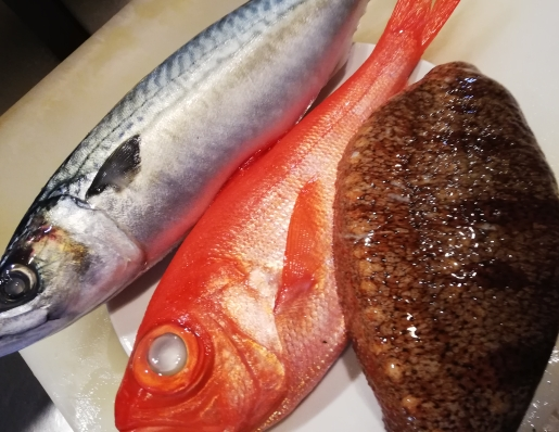 本日入荷のサバ、金目鯛、赤なまこ