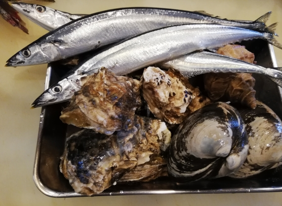 本日入荷のお魚達