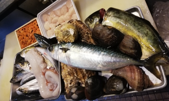 本日入荷のお魚達