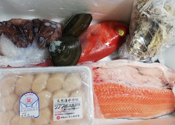 本日入荷のお魚達