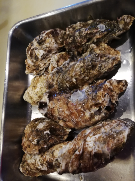 三陸産の生ガキ