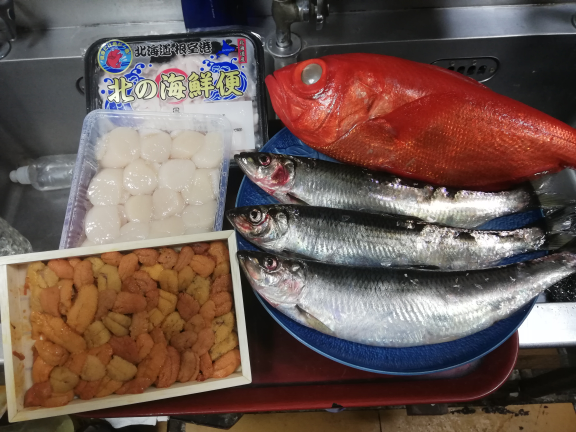 本日入荷の生にしんとお魚達