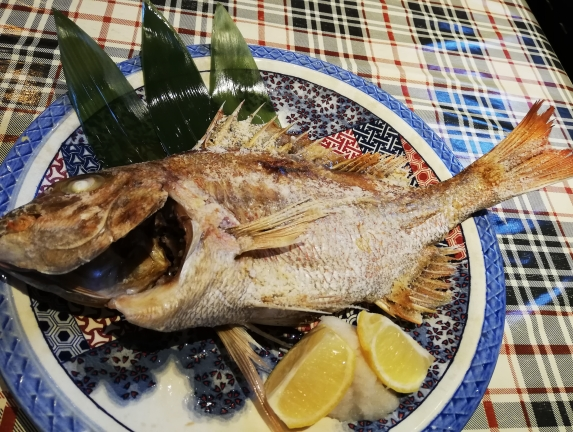 めで鯛