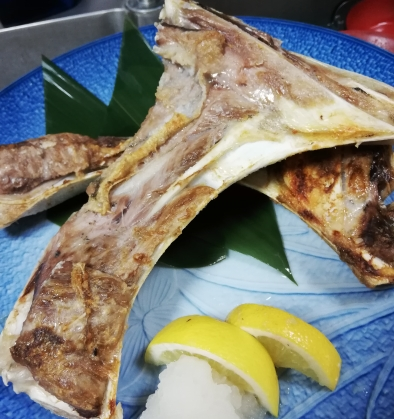 マグロカマ焼き