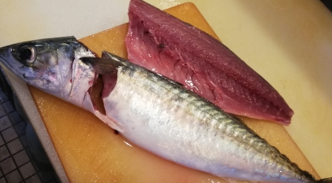 サバ