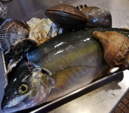 しまあじ