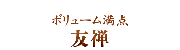 ボリューム満点友禅